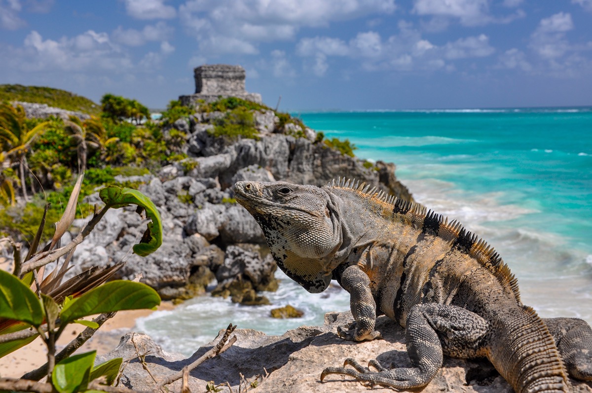 Belize